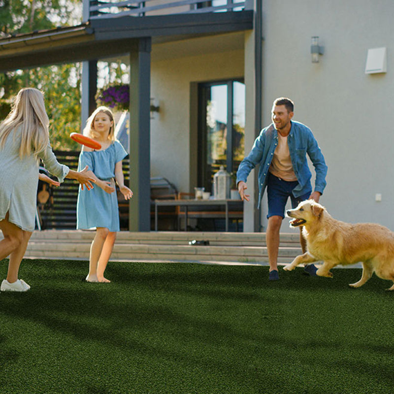 Evergrass Meadow Green Pet Turf 91, 15 Ft Wide | Artificial Grass