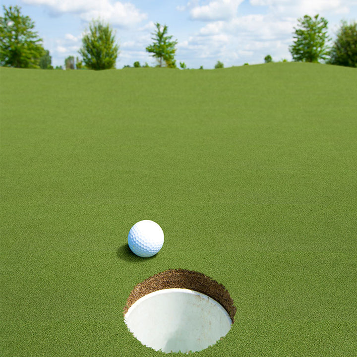 Evergrass Putting Green Turf 78, 15 Ft Wide | Golf Putting Green Grass