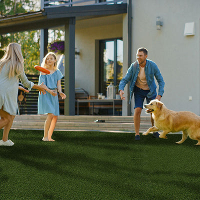 Evergrass Summer Gold 96, 15 Ft Wide | Artificial Turf Grass