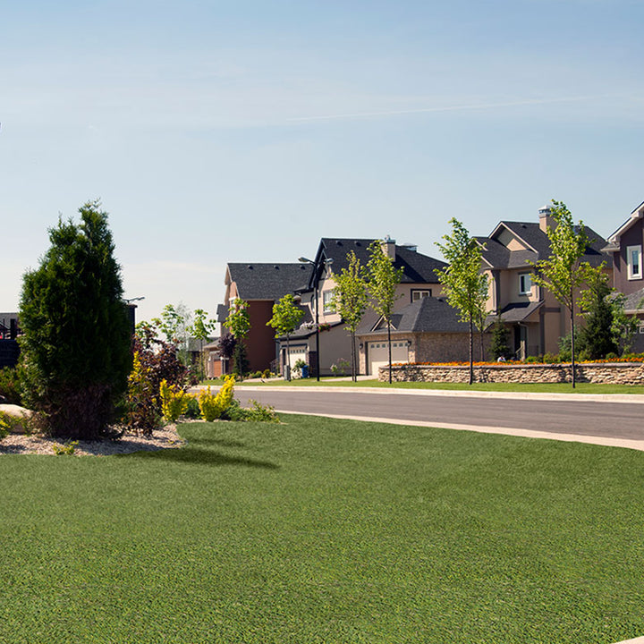Evergrass Viridian Green Turf 91, 15 Ft Wide | Artificial Grass