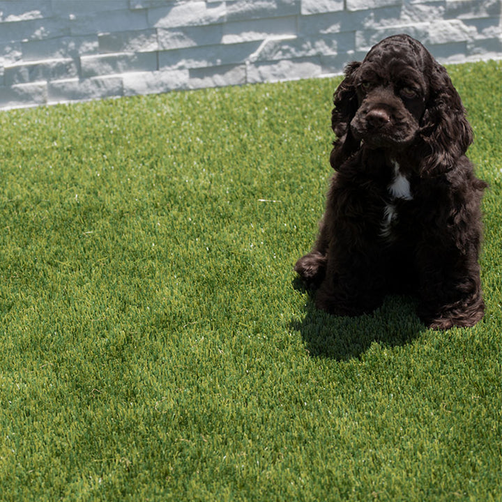 Evergrass Viridian Green Turf 91, 15 Ft Wide | Artificial Grass