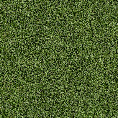 Evergrass Emerald Green Turf 110, 15 Ft Wide | Artificial Grass