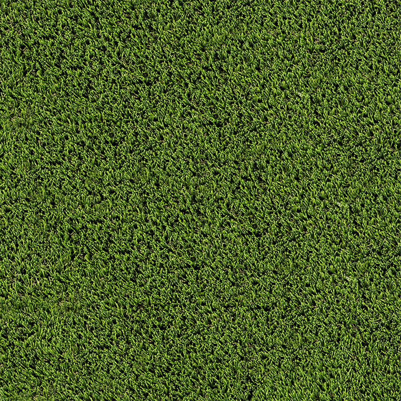 Evergrass Emerald Green Turf 110, 15 Ft Wide | Artificial Grass