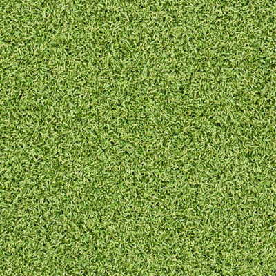 Evergrass Putting Green Turf 78, 15 Ft Wide | Golf Putting Green Grass