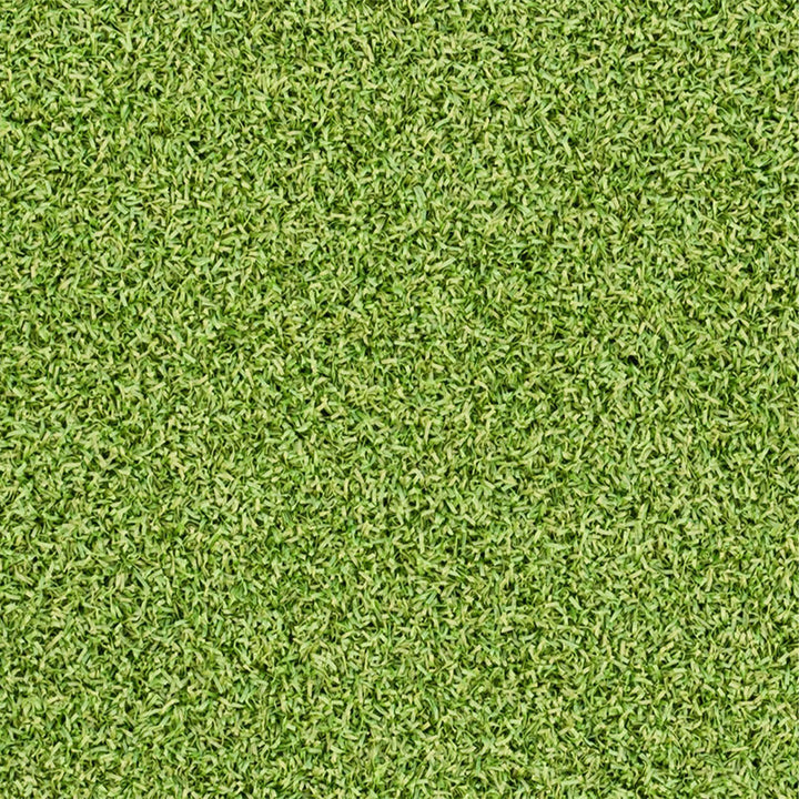 Evergrass Putting Green Turf 78, 15 Ft Wide | Golf Putting Green Grass