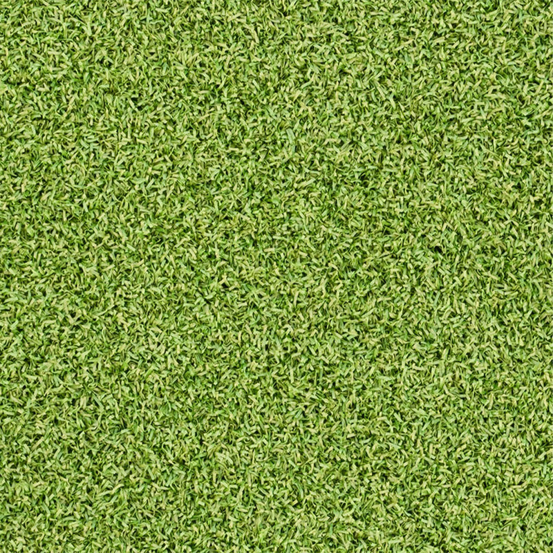 Evergrass Putting Green Turf 78, 15 Ft Wide | Golf Putting Green Grass