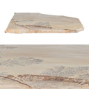 Fossil Sandstone, Random - Flagstone Paver