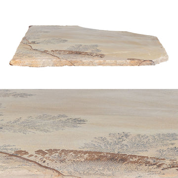 Fossil Sandstone, Random | SNDFOSSILFLAGN | Natural Stone Flagstone