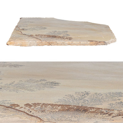 Fossil Sandstone, Random | SNDFOSSILFLAGN | Natural Stone Flagstone