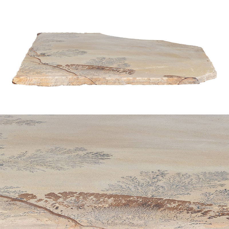 Fossil Sandstone, Random | SNDFOSSILFLAGN | Natural Stone Flagstone