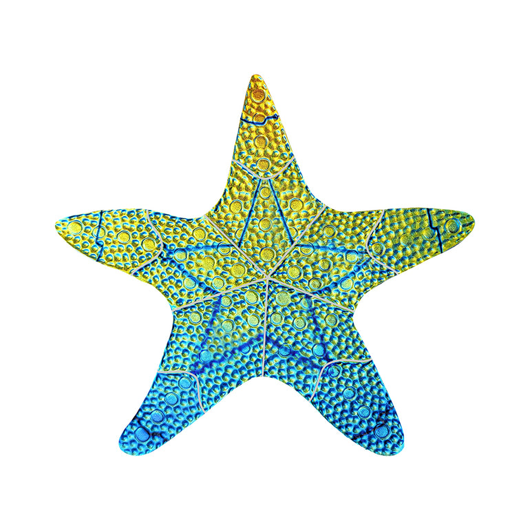 Fusion Starfish, 10" - Rainbow | STARAIM | Pool Mosaic