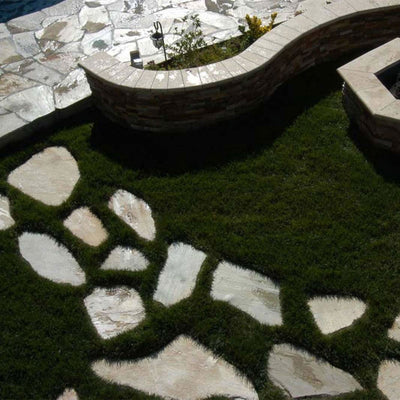 Golden White, Flagstone Pavers | Outdoor Patio Pavers