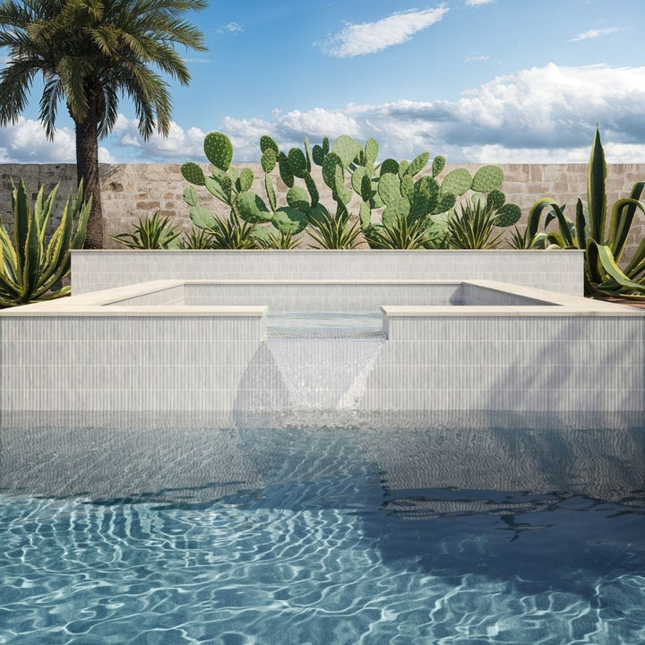 Modern pool with tiled edge and cacti in the background