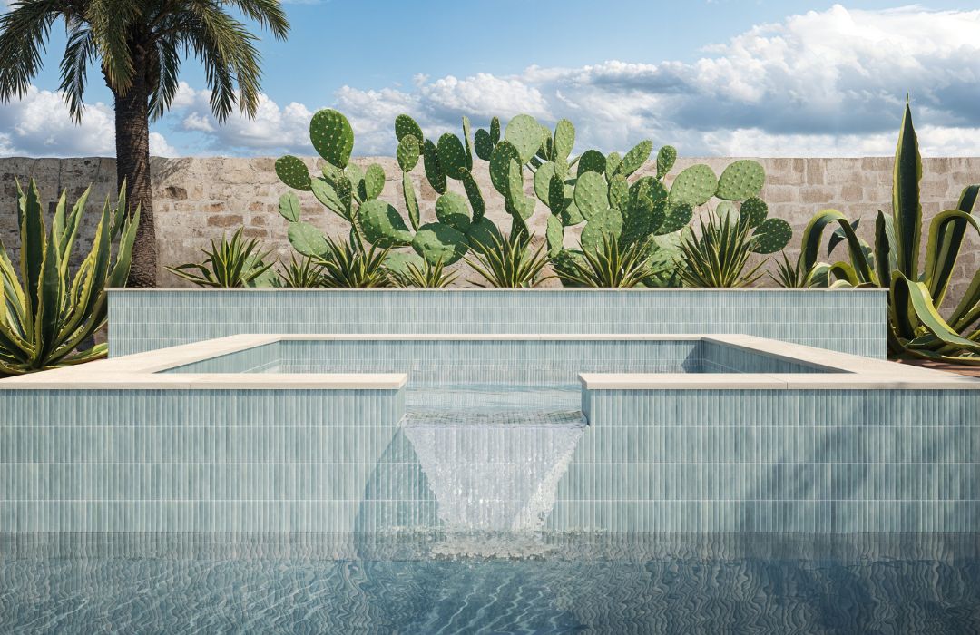 Pool area with cacti and a palm tree under a blue sky.