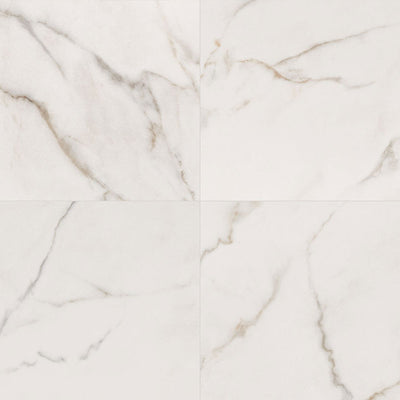 Calacatta Luca Matte, 24" x 24" | Porcelain Floor and Wall Tile by MSI