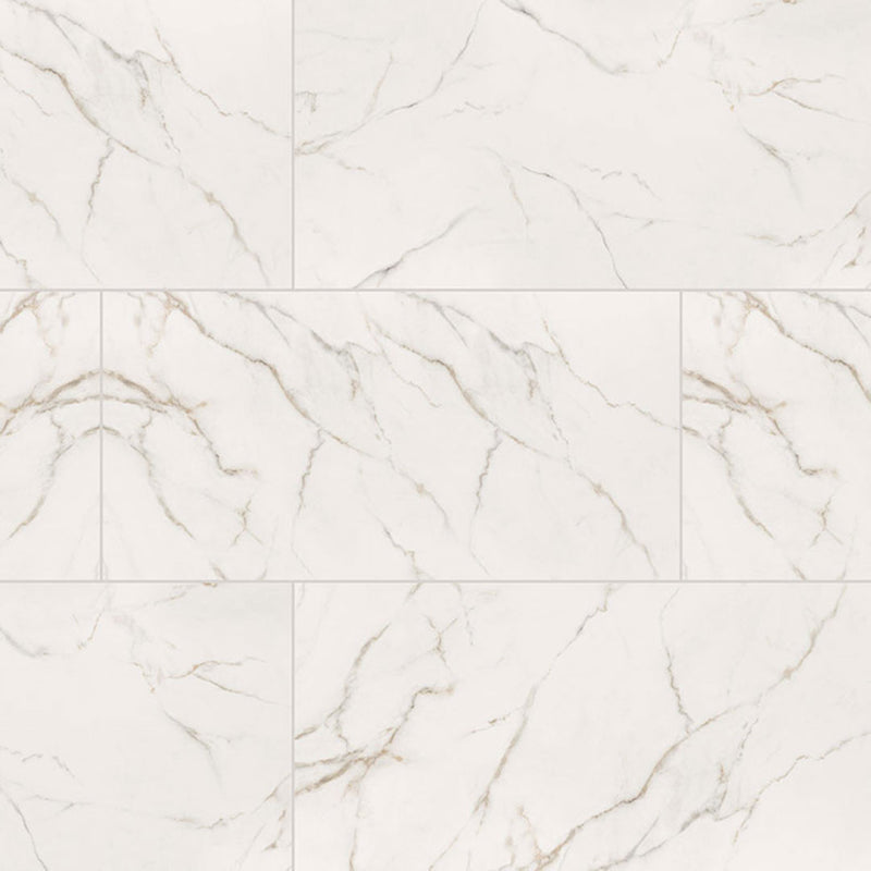 Calacatta Lucca Polished, 24" x 48" | Porcelain Floor Tile by MSI