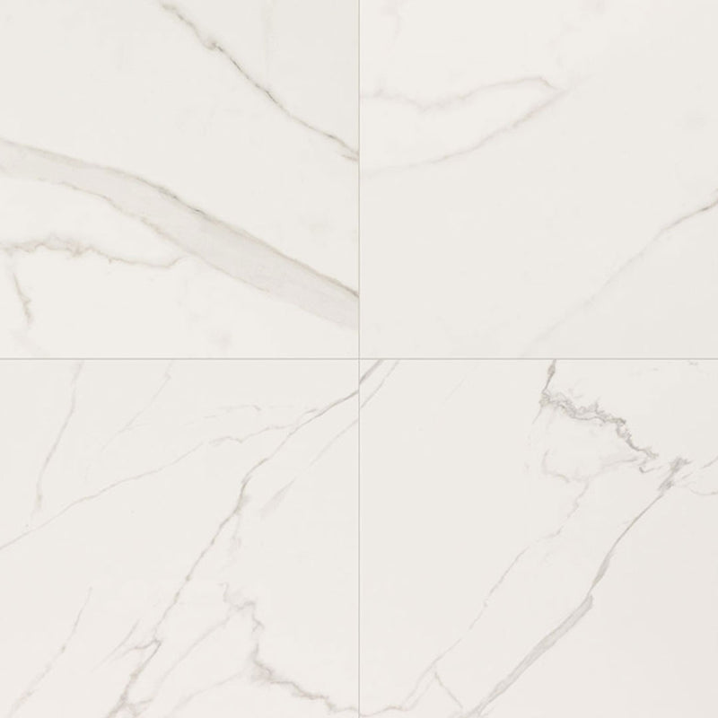 Calacatta Venato Matte, 24" x 24" - Porcelain Tile