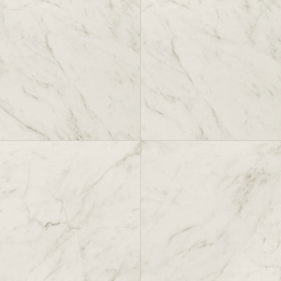 Calacatta Lucca Polished, 24" x 24" | Porcelain Floor & Wall Tile