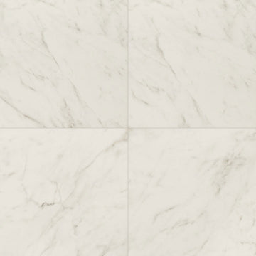 Calacatta Lucca Matte, 24" x 24" | Porcelain Floor & Wall Tile