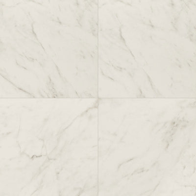 Calacatta Lucca Matte, 24" x 24" | Porcelain Floor & Wall Tile