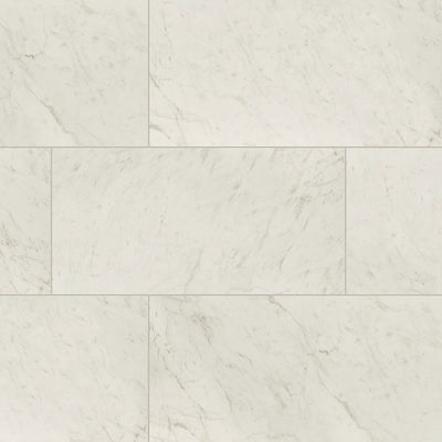 Carrara Bianco Matte, 24" x 48" | Porcelain Floor & Wall Tile by MSI