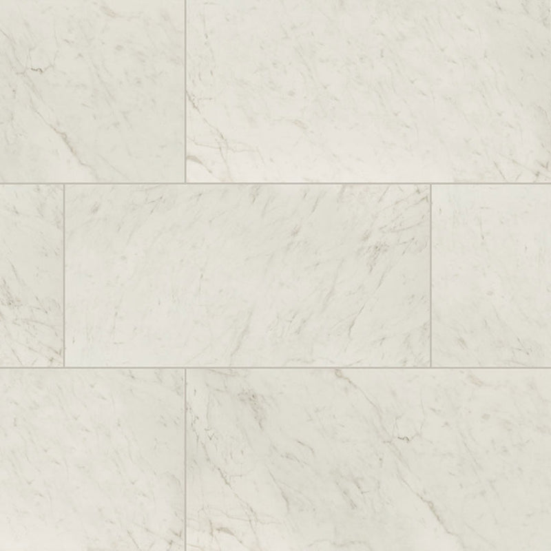 Carrara Bianco Matte, 24" x 48" | Porcelain Floor & Wall Tile by MSI