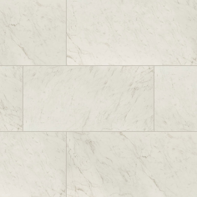 Carrara Bianco Polished, 24" x 48" - Porcelain Tile