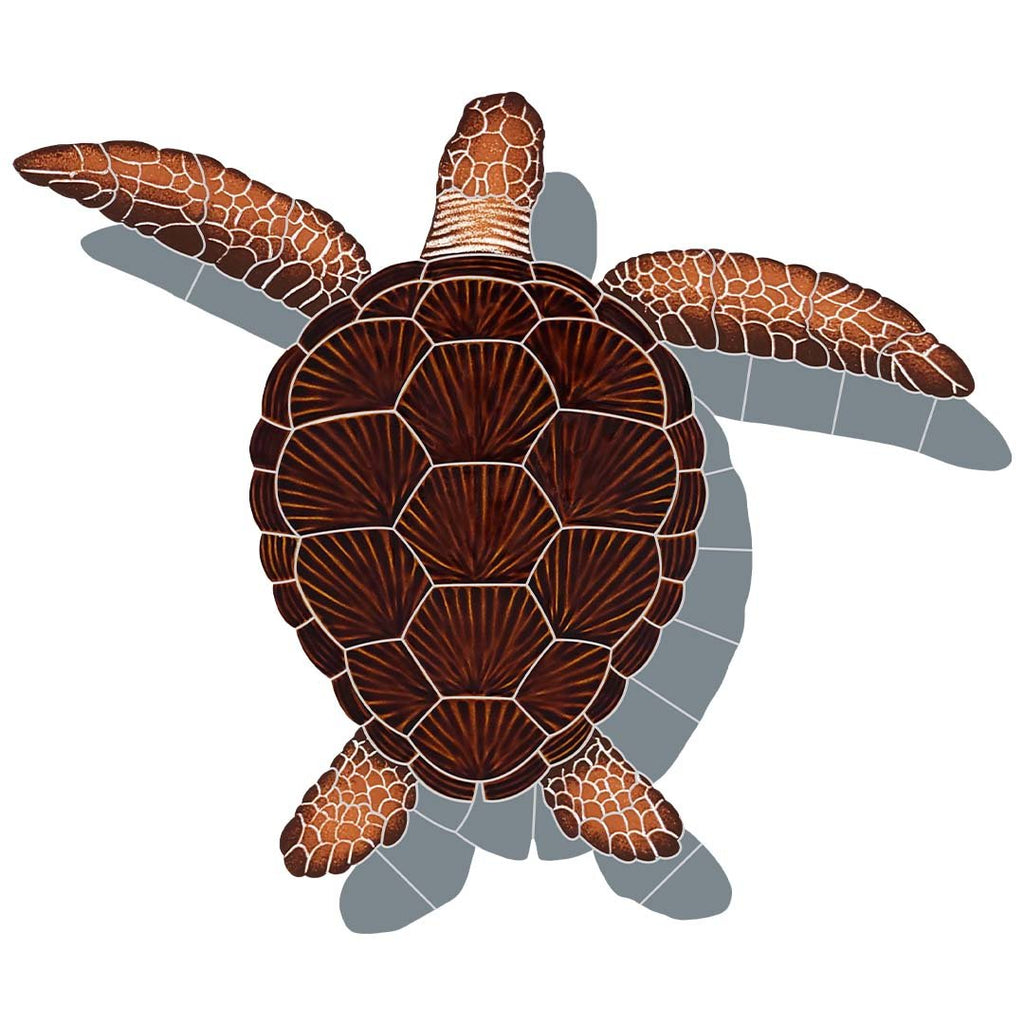 Loggerhead turtle pool mosaic