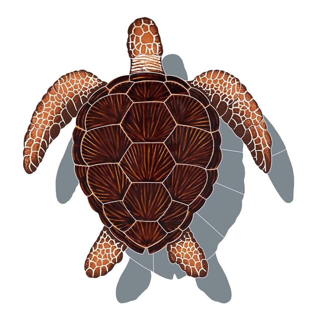 Loggerhead turtle pool mosaic