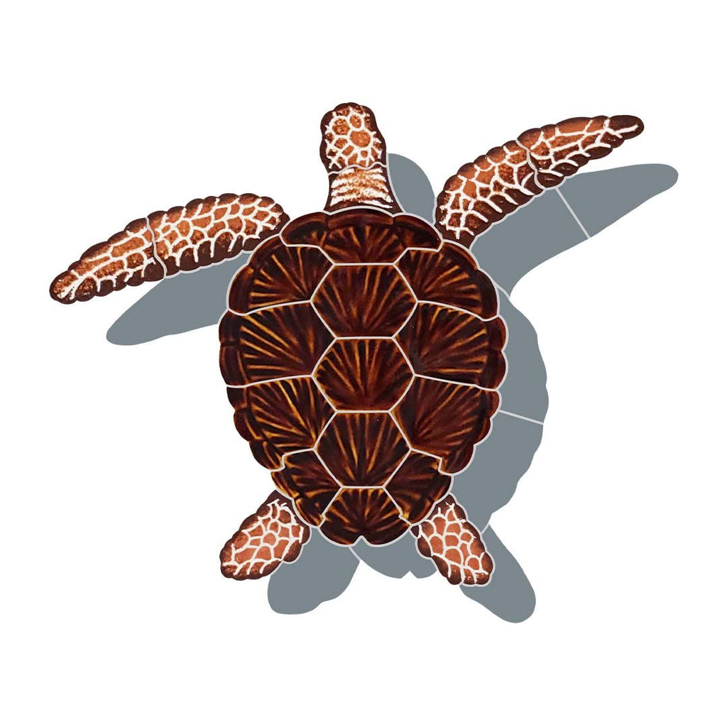 Loggerhead turtle pool mosaic