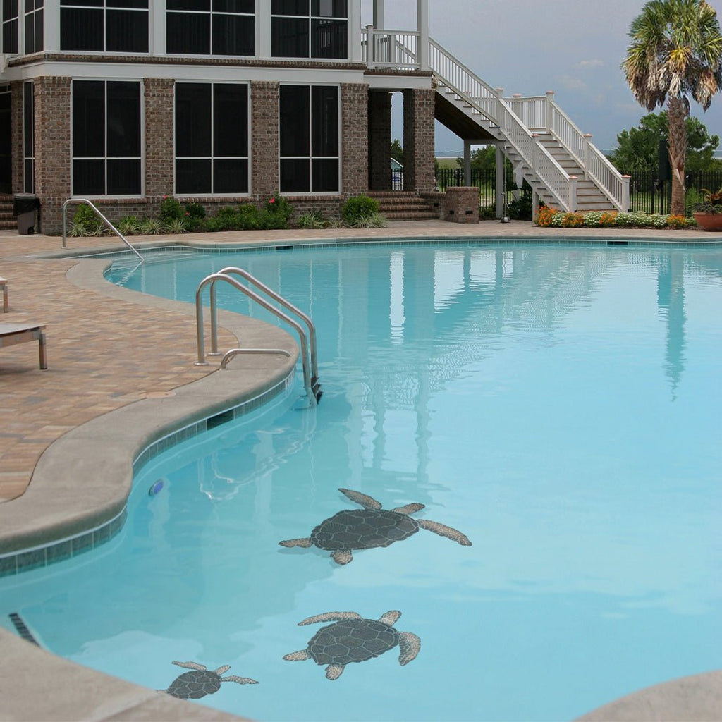 Loggerhead turtle pool mosaic