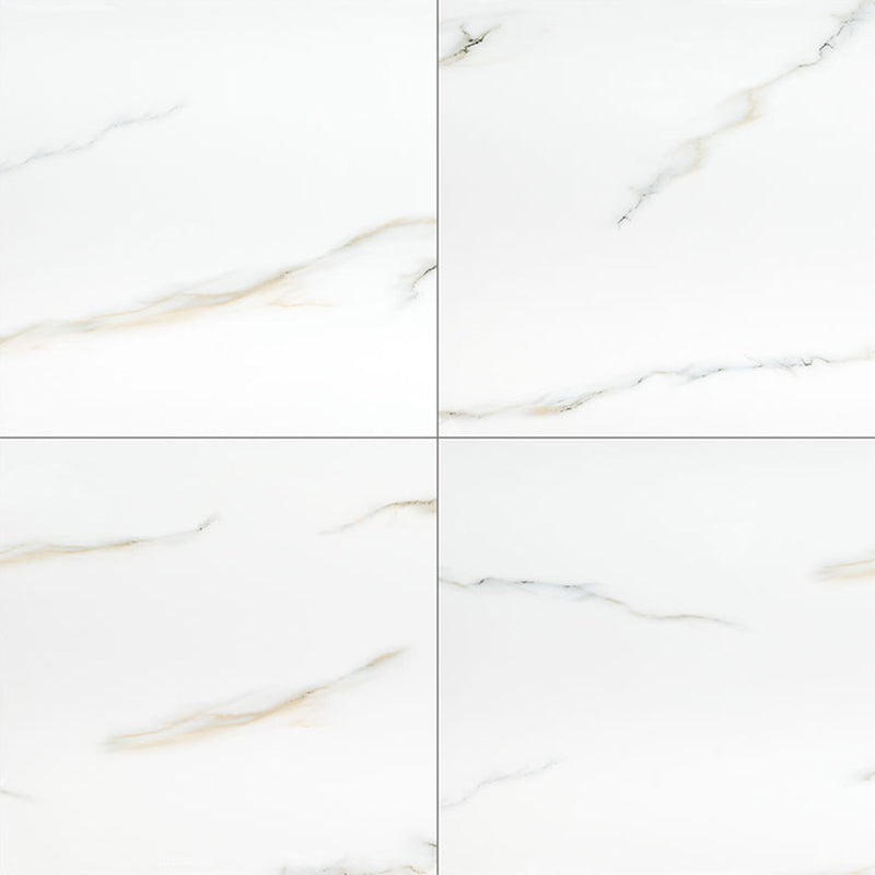 Aria Bianco, 24" x 24" Porcelain Tile | NARIBIA2424P | Tile by MSI