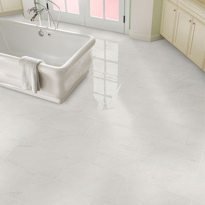 Aria Ice, 12" x 24" Porcelain Tile | NARICE1224P | Tile by MSI