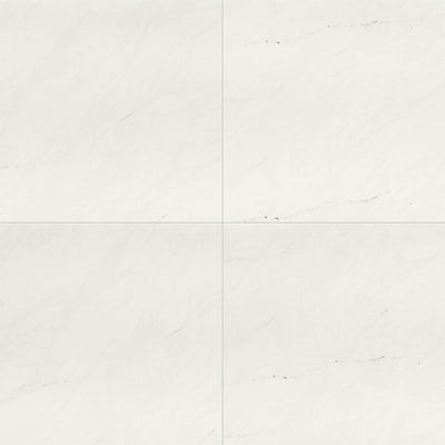 Aria Ice, 24" x 24" Porcelain Tile | NARICE2424P | Tile by MSI