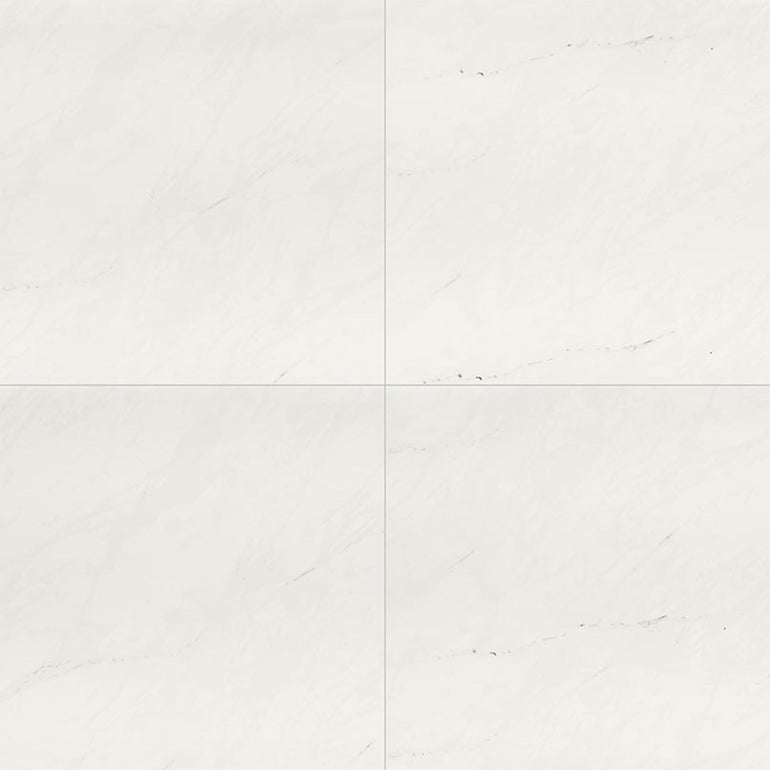 Aria Ice, 24" x 24" Porcelain Tile | NARICE2424P | Tile by MSI