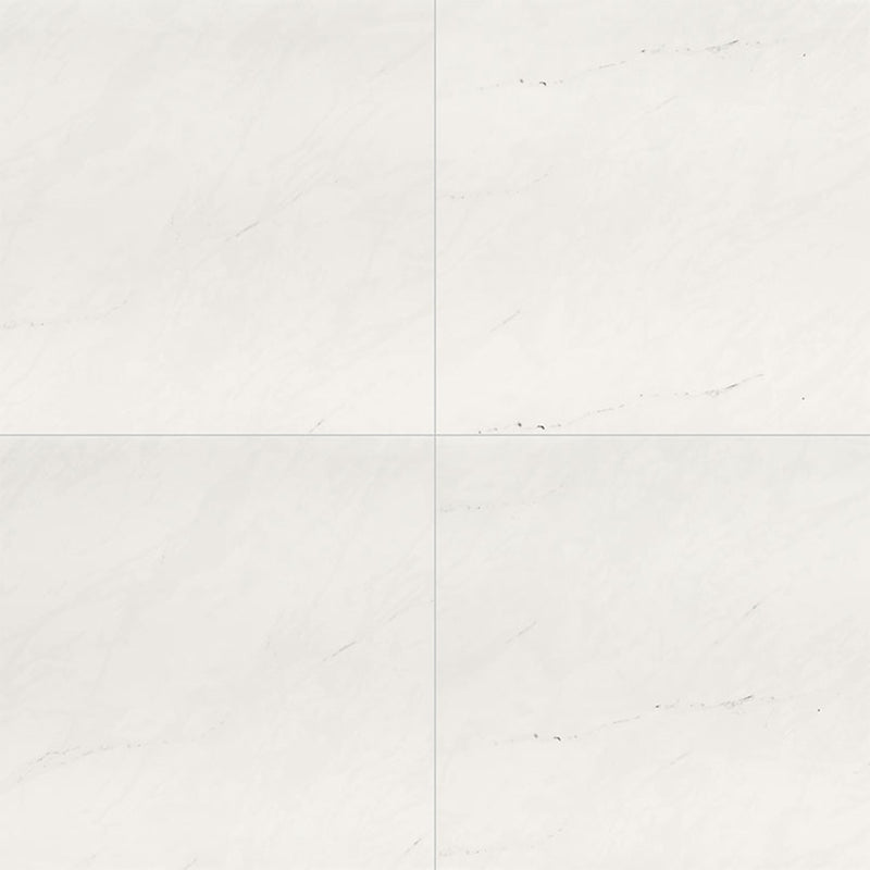 Aria Ice, 24" x 24" Porcelain Tile | NARICE2424P | Tile by MSI