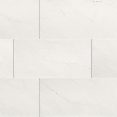 Aria Ice, 24" x 48" Porcelain Tile | NARICE2448P | Tile by MSI
