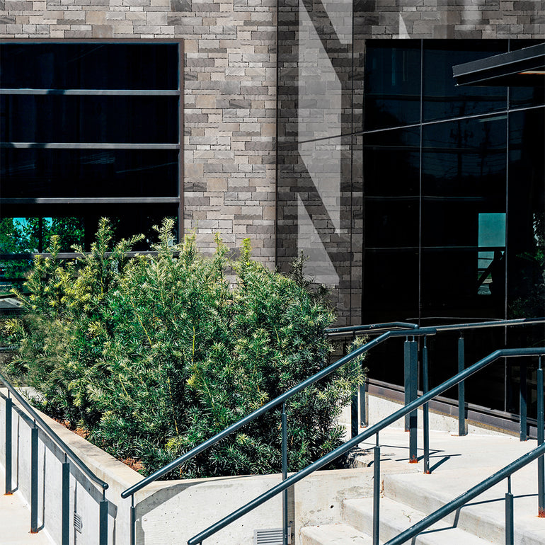 Tavern Grey, 8" x 18" Ledger Panel | Stacked Natural Stone