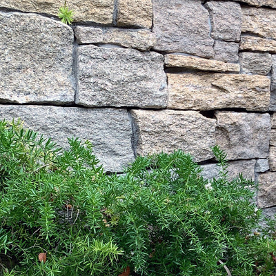 Tigerskin Yellow, 8" x 24" Granite Ledger Panel | Stacked Natural Stone