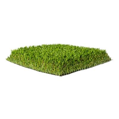 TURF GRASS