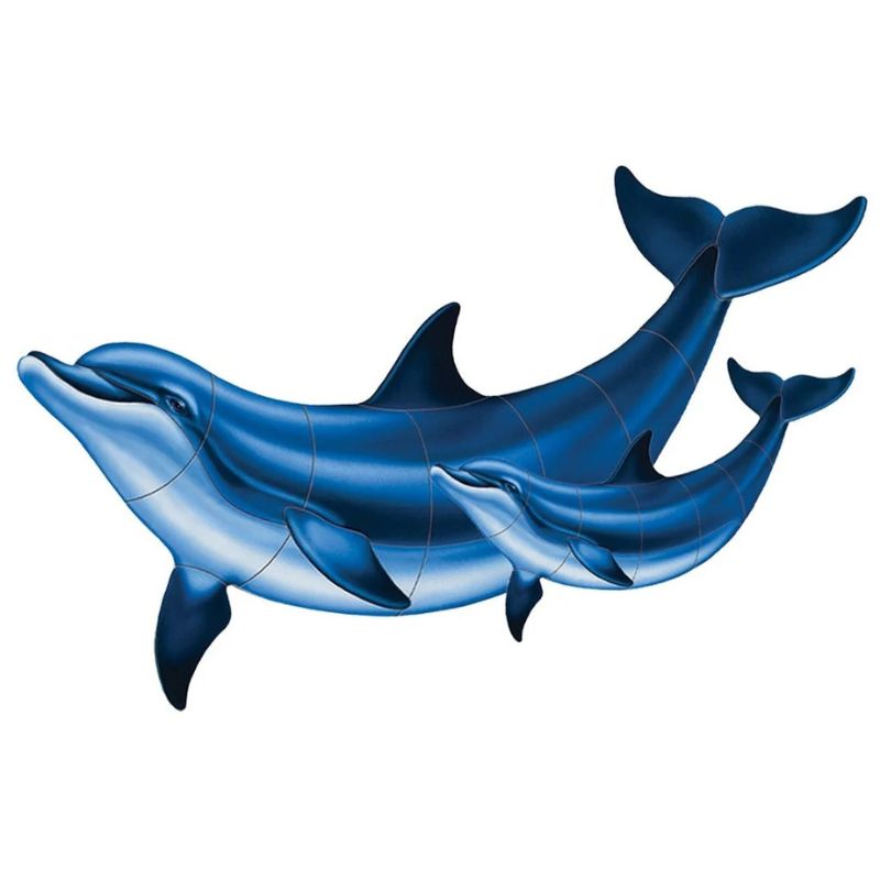 DOLPHINS
