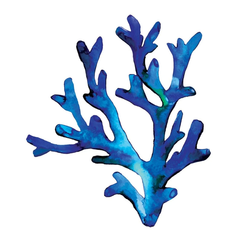 REEF SCENES