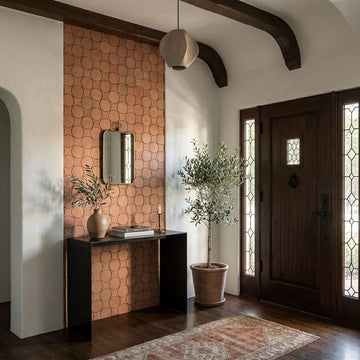 Terracotta Halo Matte Porcelain Mosaic Tile with  front door, pant, light, and small mirror