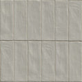 Zest Aloe, 2.5" x 8" - Ceramic Tile