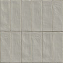 Zest Aloe, 2.5" x 8" - Ceramic Tile