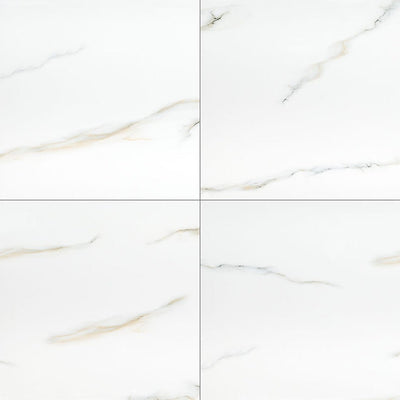 Aria Bianco, 24" x 24" Porcelain Tile | NARIBIA2424P | Tile by MSI