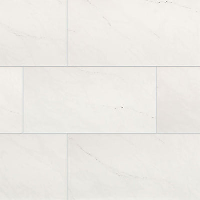 Aria Ice, 12" x 24" Porcelain Tile | NARICE1224P | Tile by MSI