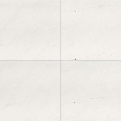 Aria Ice, 24" x 24" Porcelain Tile | NARICE2424P | Tile by MSI