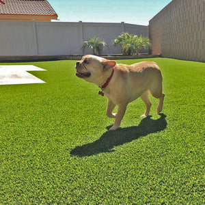 artificial grass top turf products