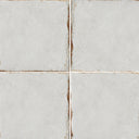 Bianco Antico, 8" x 8" - Porcelain Tile